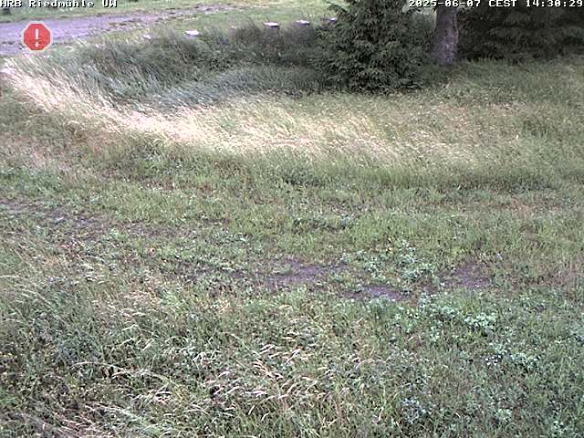 Camera Live Image